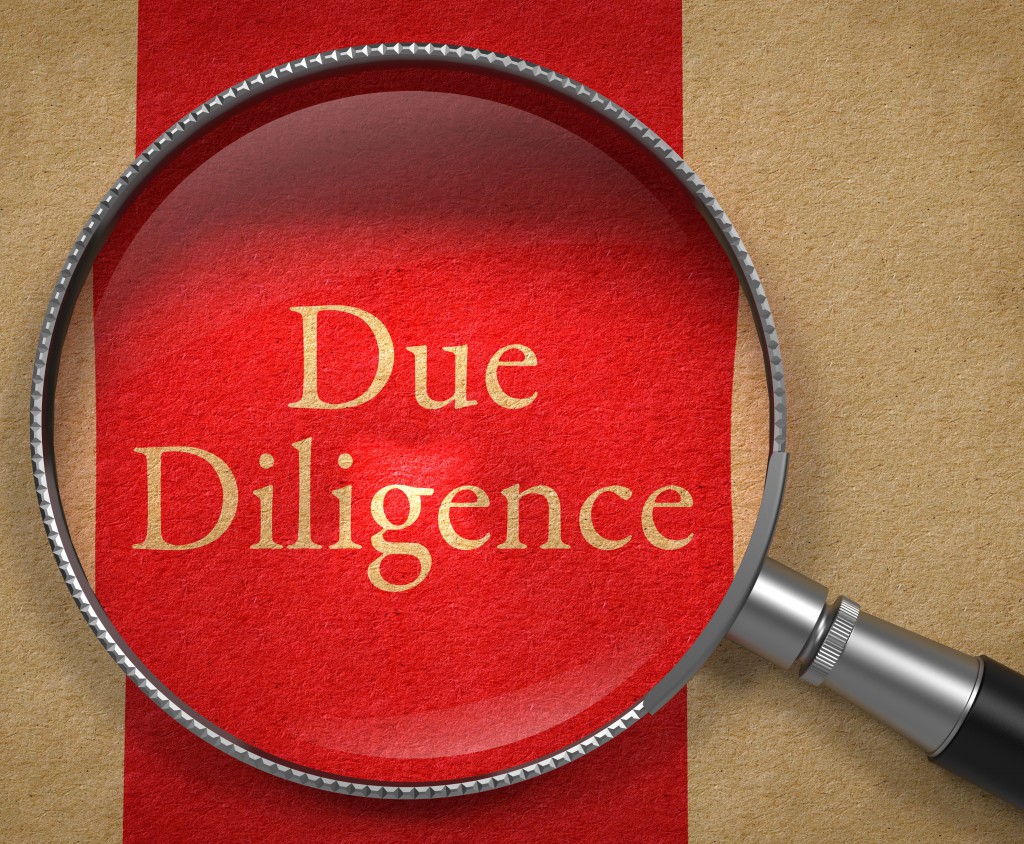 Due diligence Italy